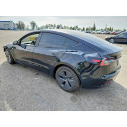 2023 TESLA MODEL 3 5YJ3E1EA7PF542214 49295946