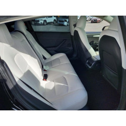 2023 TESLA MODEL 3 5YJ3E1EA7PF542214 49295946