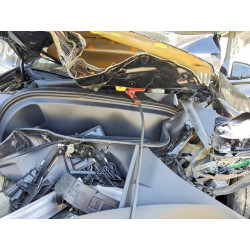2024 TESLA MODEL Y 7SAYGDEF3RF071990 53445236