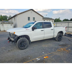 2021 CHEVROLET ALL Models 3GCPYFED8MG461115 60971536