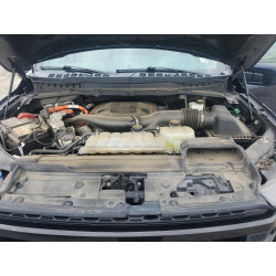 2022 FORD F-150 1FTFW1EDXNFB33055 54502706