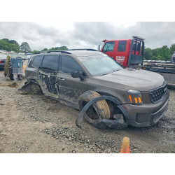2024 KIA TELLURIDE 5XYP3DGC4RG519721 54717746