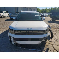 2024 HYUNDAI SANTA FE 5NMP44GL3RH044887 53211886