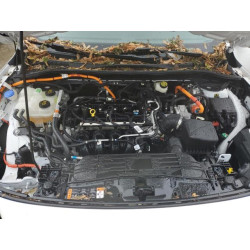 2022 FORD ESCAPE 1FMCU9BZ3NUA73604 55910775