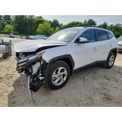 2023 HYUNDAI TUCSON 5NMJBCAE4PH230502 55937546