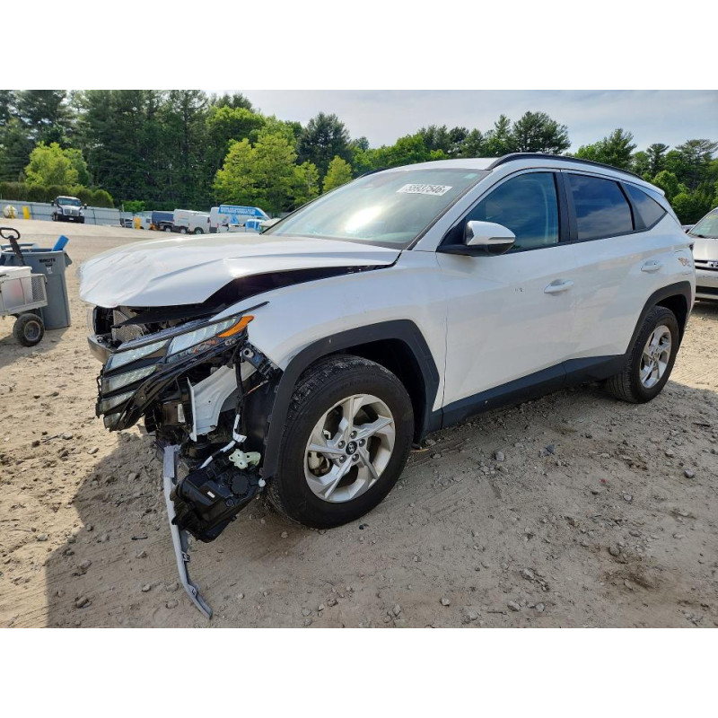 2023 HYUNDAI TUCSON 5NMJBCAE4PH230502 55937546