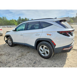 2023 HYUNDAI TUCSON 5NMJBCAE4PH230502 55937546