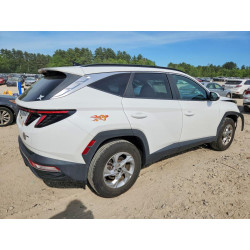 2023 HYUNDAI TUCSON 5NMJBCAE4PH230502 55937546