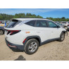 2023 HYUNDAI TUCSON 5NMJBCAE4PH230502 55937546