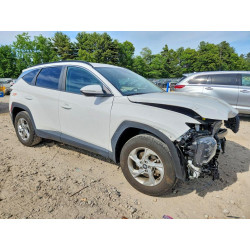 2023 HYUNDAI TUCSON 5NMJBCAE4PH230502 55937546