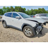 2023 HYUNDAI TUCSON 5NMJBCAE4PH230502 55937546