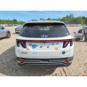 2023 HYUNDAI TUCSON 5NMJBCAE4PH230502 55937546