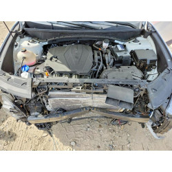 2023 HYUNDAI TUCSON 5NMJBCAE4PH230502 55937546
