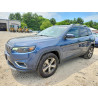 2020 JEEP GRAND CHER 1C4PJMDN6LD537994 56335726