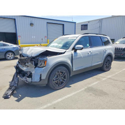 2025 KIA TELLURIDE 5XYP5DGC2SG632499 59909926