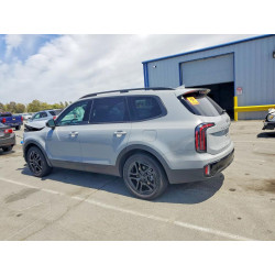 2025 KIA TELLURIDE 5XYP5DGC2SG632499 59909926