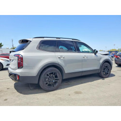 2025 KIA TELLURIDE 5XYP5DGC2SG632499 59909926