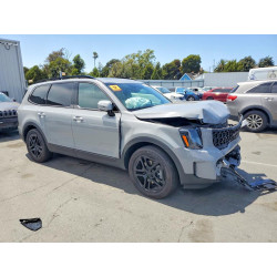 2025 KIA TELLURIDE 5XYP5DGC2SG632499 59909926