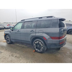 2025 HYUNDAI SANTA FE 5NMP2DGL0SH142819 99350645