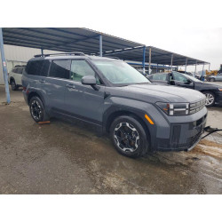 2025 HYUNDAI SANTA FE 5NMP2DGL0SH142819 99350645