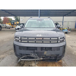 2025 HYUNDAI SANTA FE 5NMP2DGL0SH142819 99350645