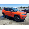 2021 JEEP COMPASS 3C4NJDDB7MT529203 60805246