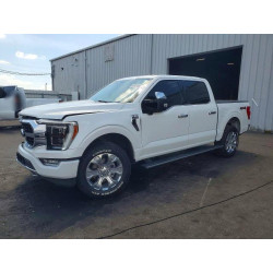 2021 FORD All Models 1FTFW1E82MFB12282 61215056