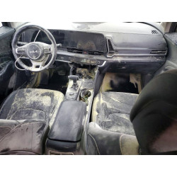 2024 KIA SPORTAGE 5XYK33DF1RG188339 56125546