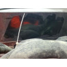 2024 KIA SPORTAGE 5XYK33DF1RG188339 56125546