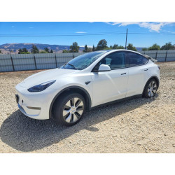 2023 TESLA MODEL Y 7SAYGDEE9PF742471 61951506