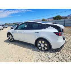 2023 TESLA MODEL Y 7SAYGDEE9PF742471 61951506