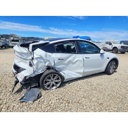 2023 TESLA MODEL Y 7SAYGDEE9PF742471 61951506