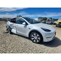 2023 TESLA MODEL Y 7SAYGDEE9PF742471 61951506