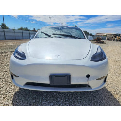 2023 TESLA MODEL Y 7SAYGDEE9PF742471 61951506