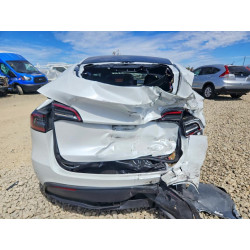 2023 TESLA MODEL Y 7SAYGDEE9PF742471 61951506