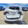 2023 TESLA MODEL Y 7SAYGDEE9PF742471 61951506