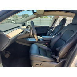 2023 TESLA MODEL Y 7SAYGDEE9PF742471 61951506