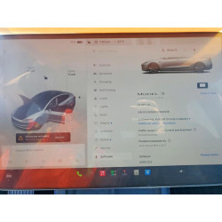 2025 TESLA MODEL 3 5YJ3E1EA7SF940418 60481766