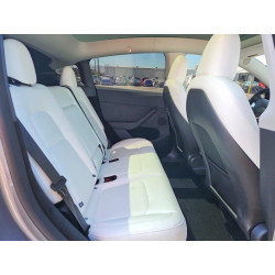 2024 TESLA MODEL Y 7SAYGDEF0RA324101 62353056
