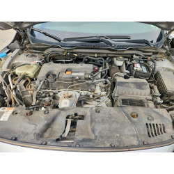 2021 HONDA CIVIC 2HGFC2F67MH503181 55449956