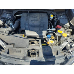 2023 SUBARU FORESTER JF2SKAAC8PH448405 56033896