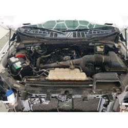 2021 FORD F150 1FTEX1CP6MKE76800 63334506