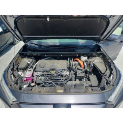 2024 TOYOTA RAV4 JTMRWRFV1RD270941 59224416