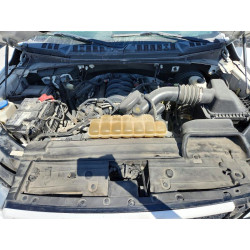 2020 FORD F-150 1FTEW1C52LKE58410 61448786