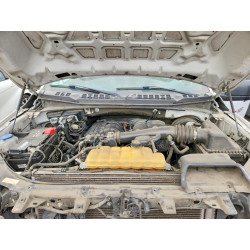 2020 FORD All Models 1FTMF1CB0LKD61711 61540816