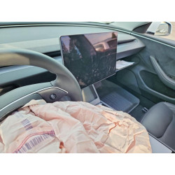 2025 TESLA MODEL 3 5YJ3E1EB2SF887958 61771666