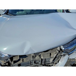 2021 HONDA CRV 2HKRW1H56MH421290 63039436