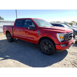 2021 FORD F150 1FTFW1E81MKD56500 62891066