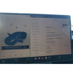 2025 TESLA MODEL 3 5YJ3E1EA4SF995103 63808896