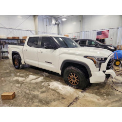 2024 TOYOTA TUNDRA 5TFWA5DB9RX184861 73671255